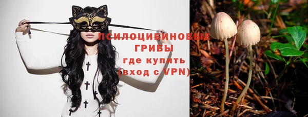 альфа пвп Белокуриха