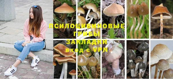 хмурый Семикаракорск