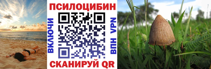 Галлюциногенные грибы прущие грибы Кушва